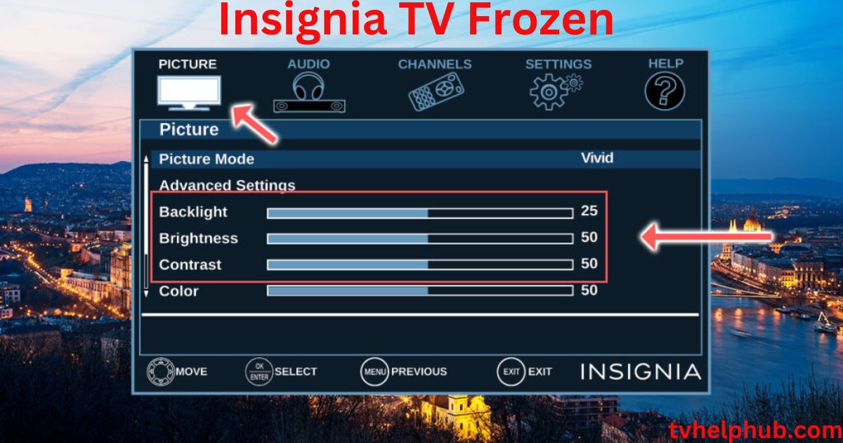 Insignia TV Frozen